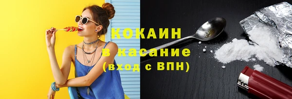 дмт Алексин