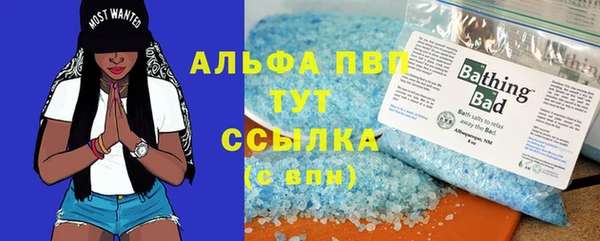 дмт Алексин